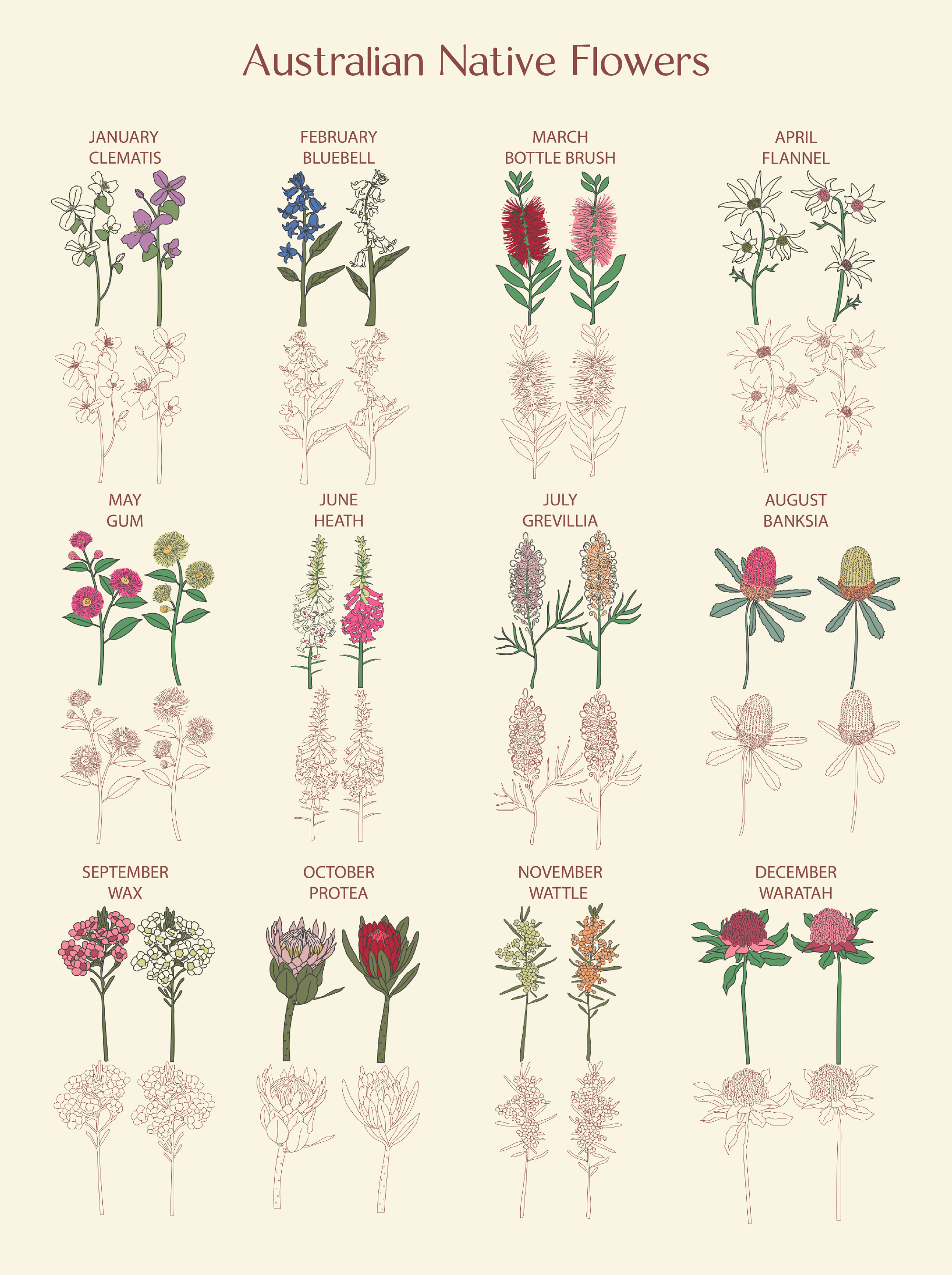 Native Florals Family Garden