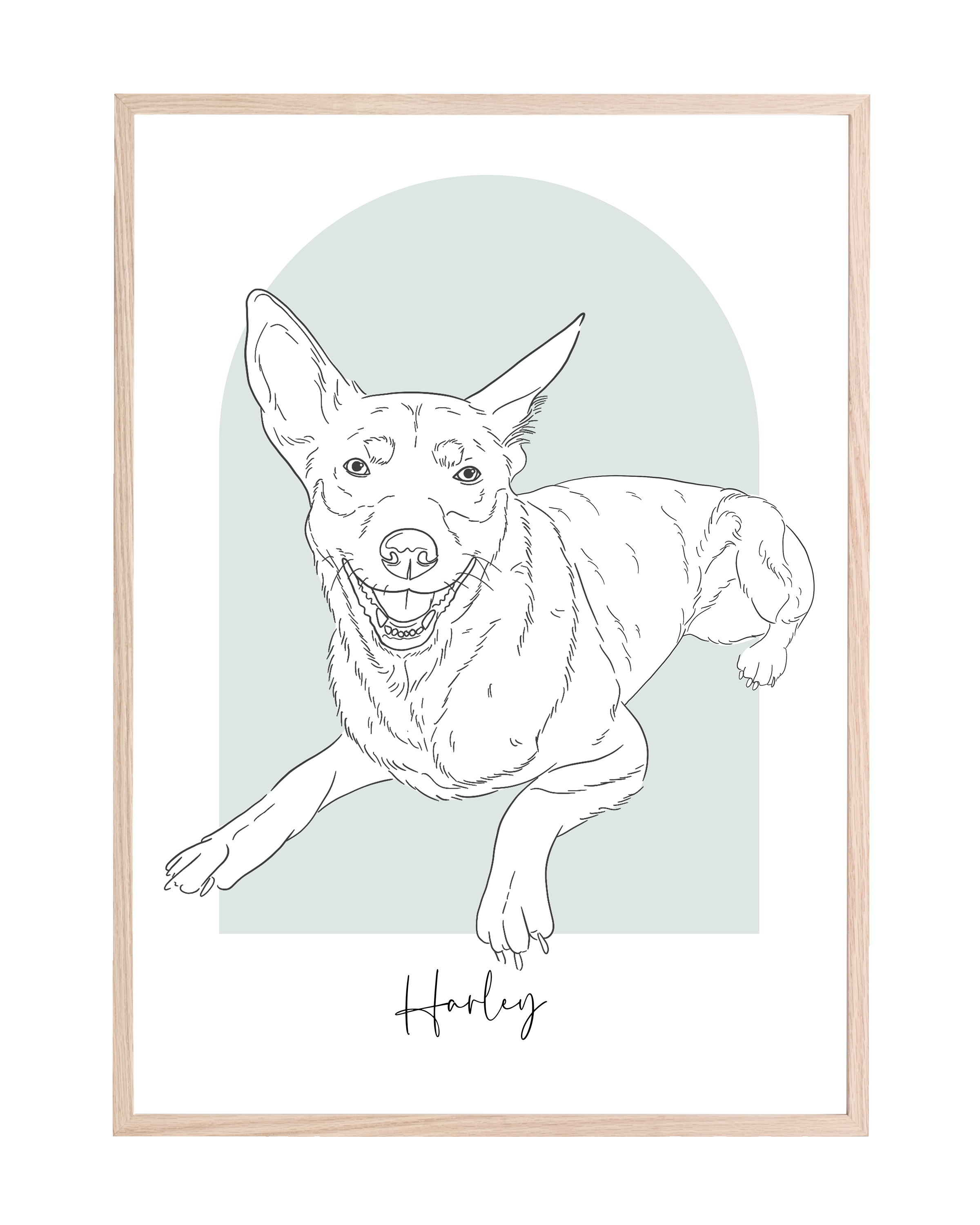 Custom Pet Sketch