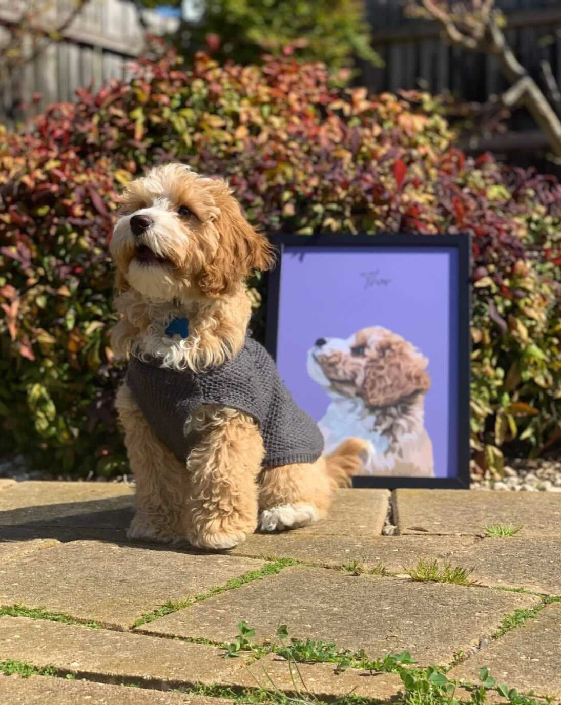 Detailed Pet Portrait