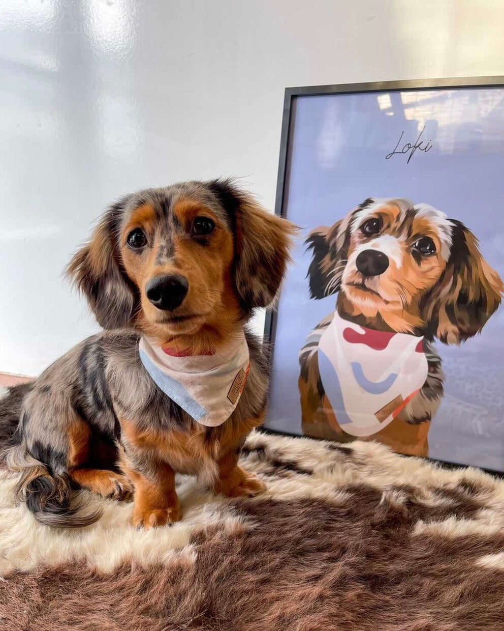 Detailed Pet Portrait