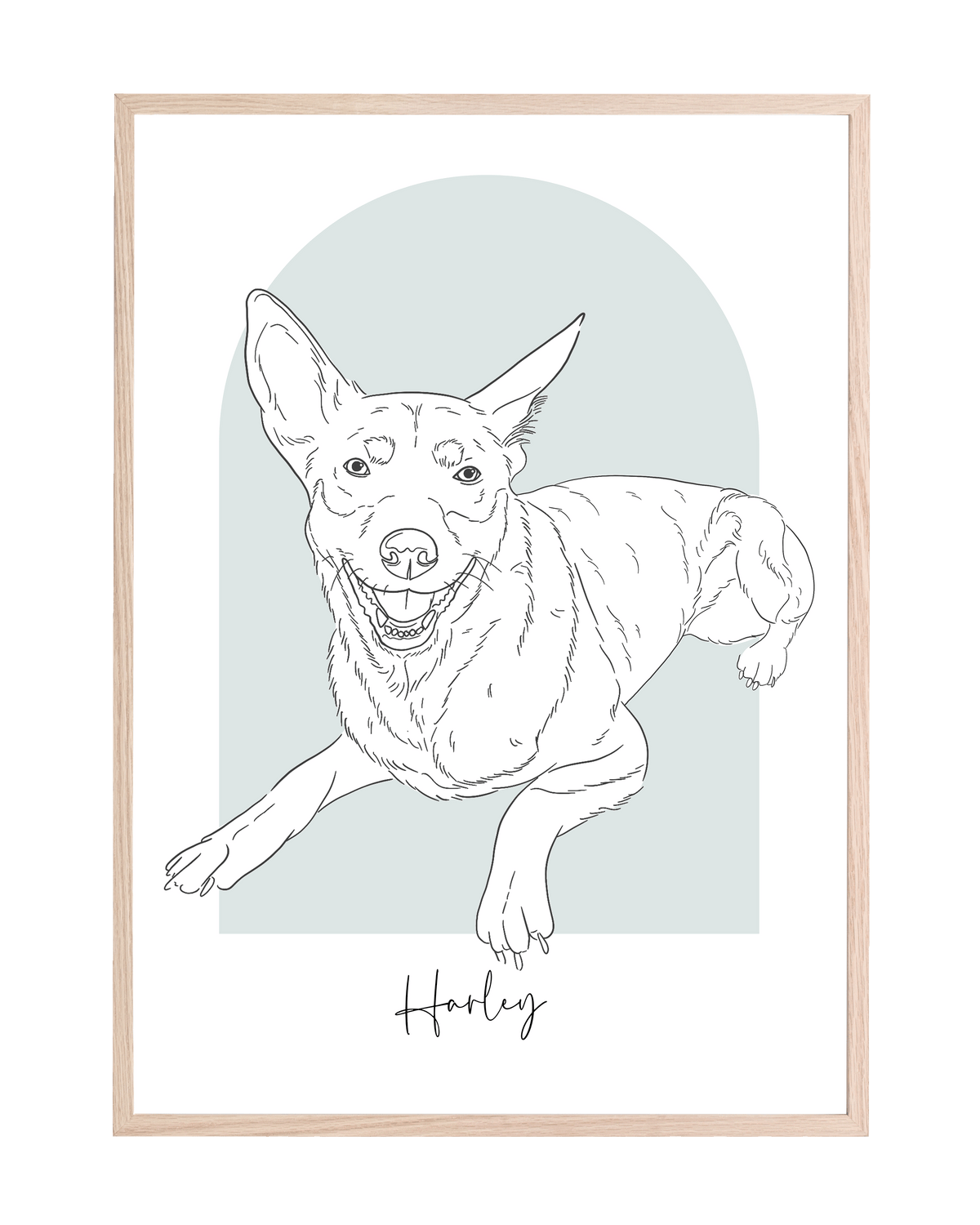Custom Pet Sketch